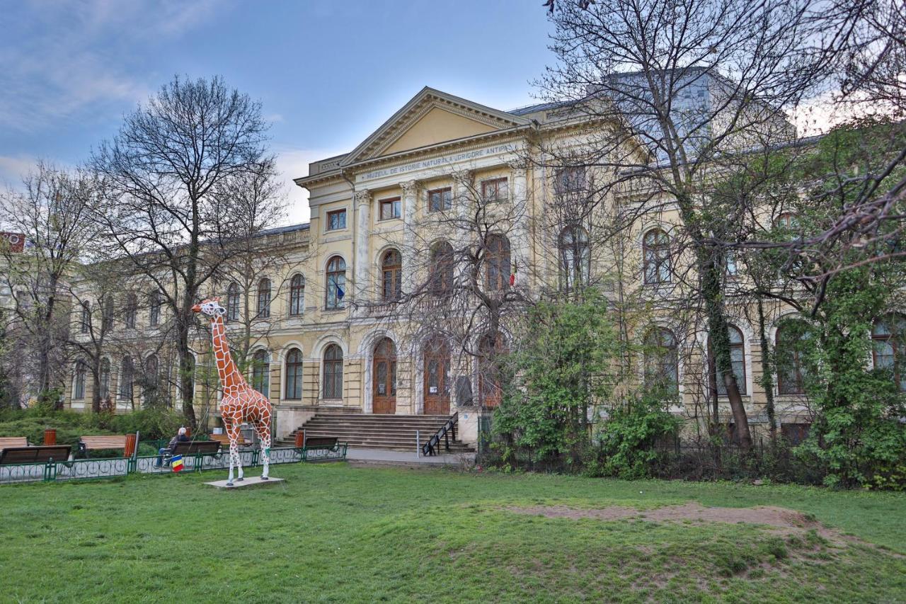 Oak Apartment - Piata Victoriei Bucarest Exterior foto