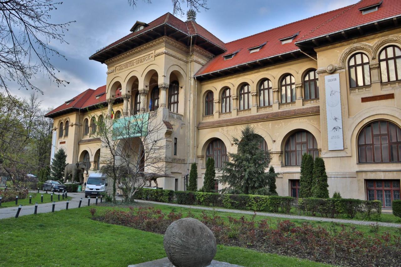 Oak Apartment - Piata Victoriei Bucarest Exterior foto